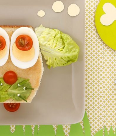 sandwich-poulet-salade-et-fromage-kiri-le-chien-kiri-858